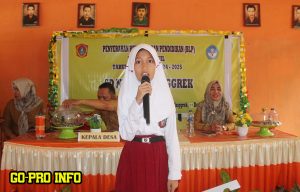 SDN 3 Anggrek