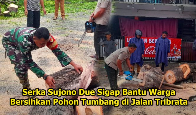 
					Serka Sujono Due Sigap Bantu Warga Bersihkan Pohon Tumbang di Jalan Tribrata