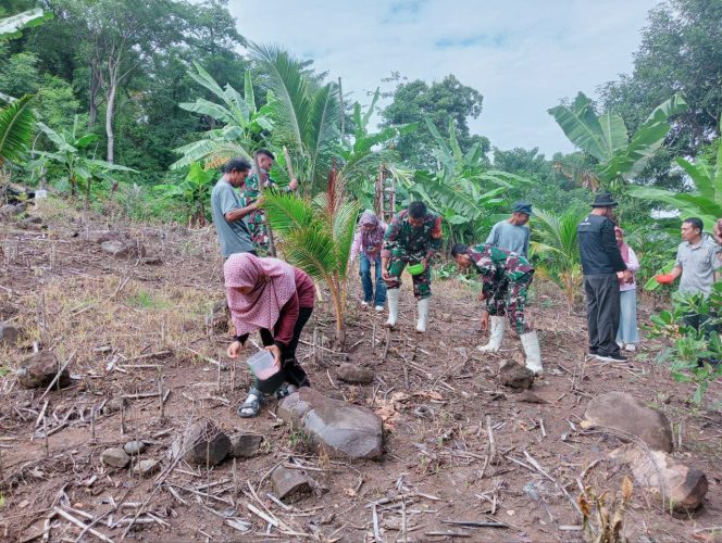 
					Perkuat Kemandirian Pangan Wilayah, Babinsa 1304/Gorontalo Dampingi Koptan Tanam Padi Gogo