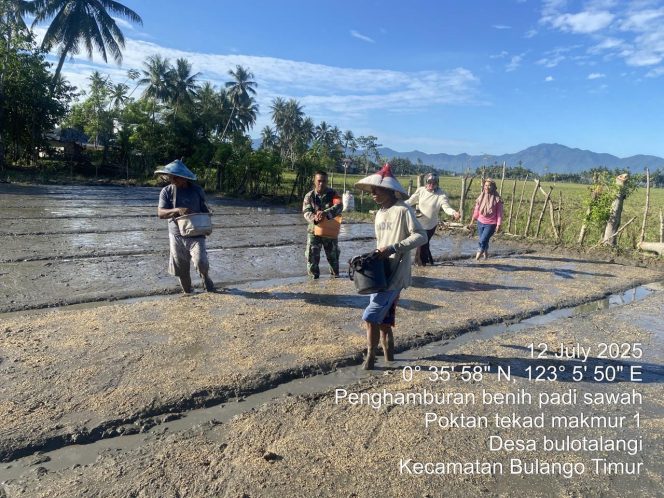 
					Peran Babinsa, Dampingi Poktan Tanam Padi