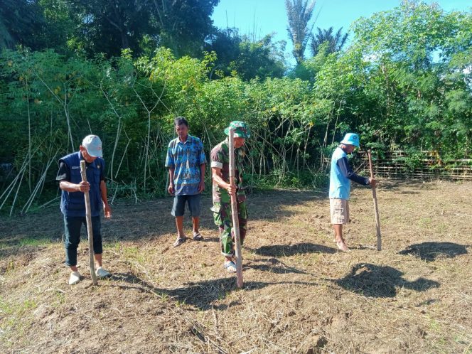 
					Babinsa Kodim 1304/Gorontalo Dampingi Petani Tanam Padi Gogo demi Sukseskan Ketahanan Pangan Nasional