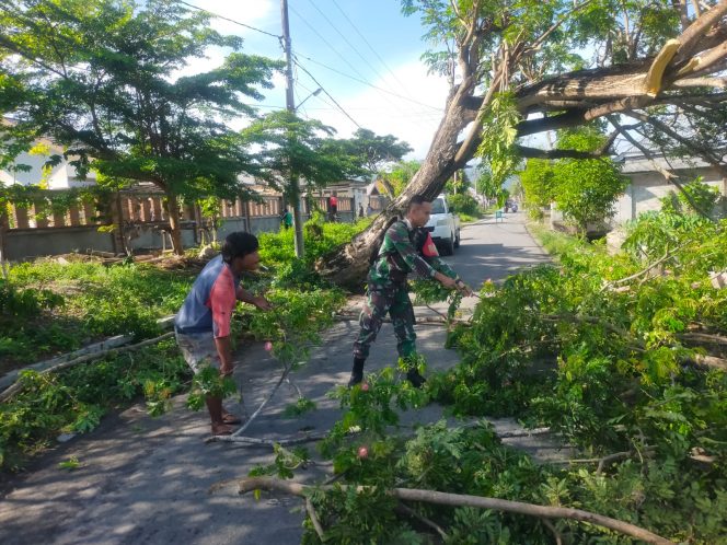 
					Babinsa Kota Utara Bersama Warga Bersihkan Pohon Tumbang di Jalan Tinaloga