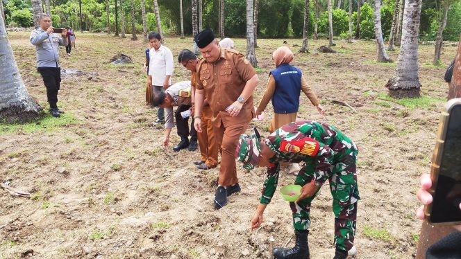 
					Dukung Program Peningkatan Ketahanan Pangan,Babinsa Hadiri Tanam Jagung Perdana   